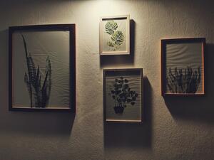 รูปภาพที่โพสต์โดย W.