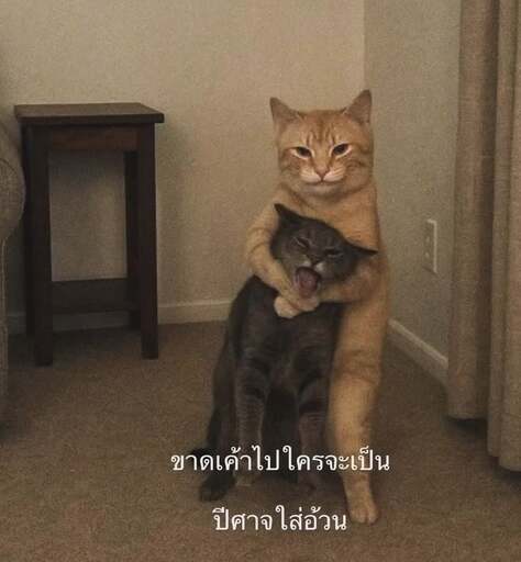 รูปภาพที่โพสต์โดย 🐉NP.🐉